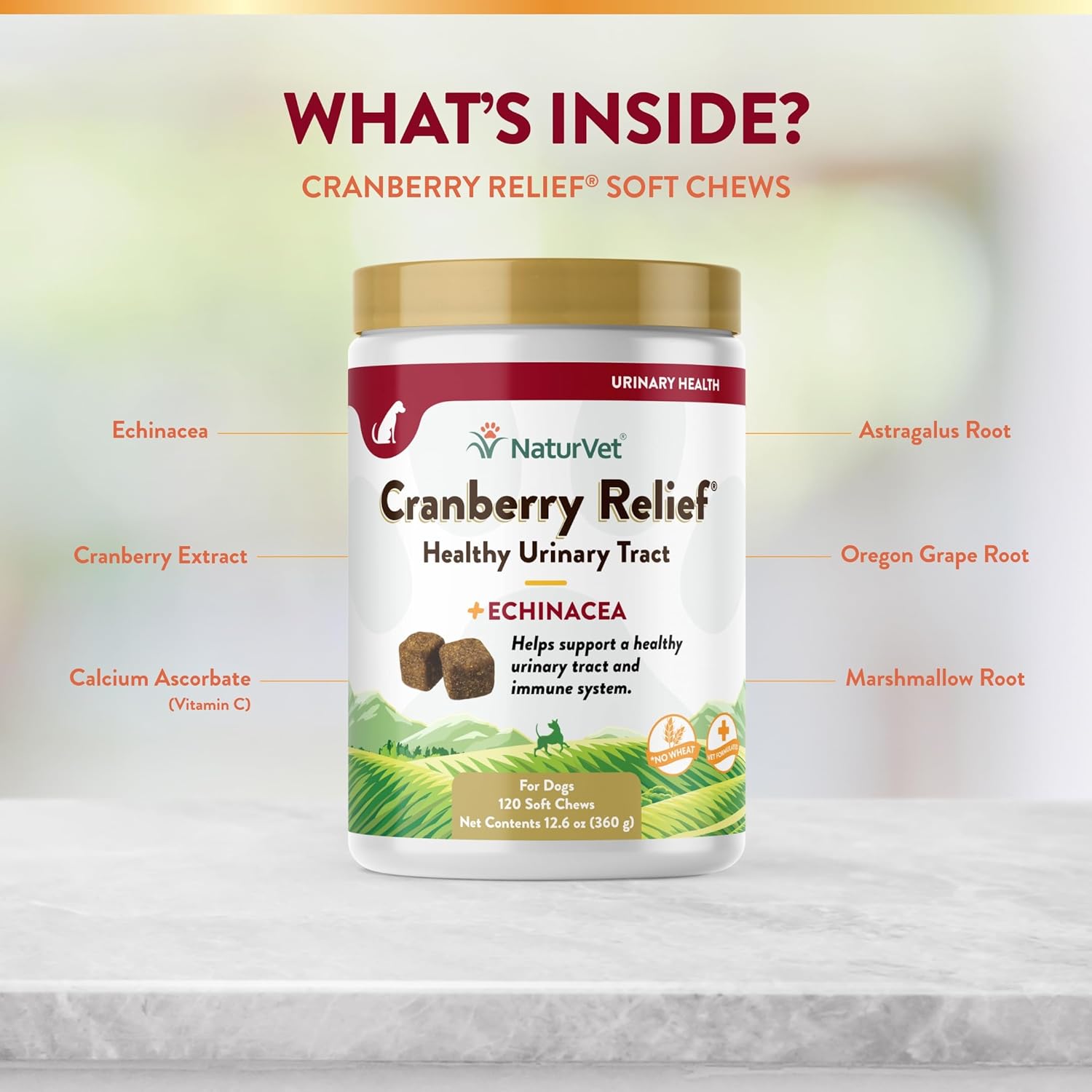 NaturVet – Cranberry Relief Plus Echinacea – Helps Support a Healthy Urinary Tract & Immune System – 120 Soft Chews-4