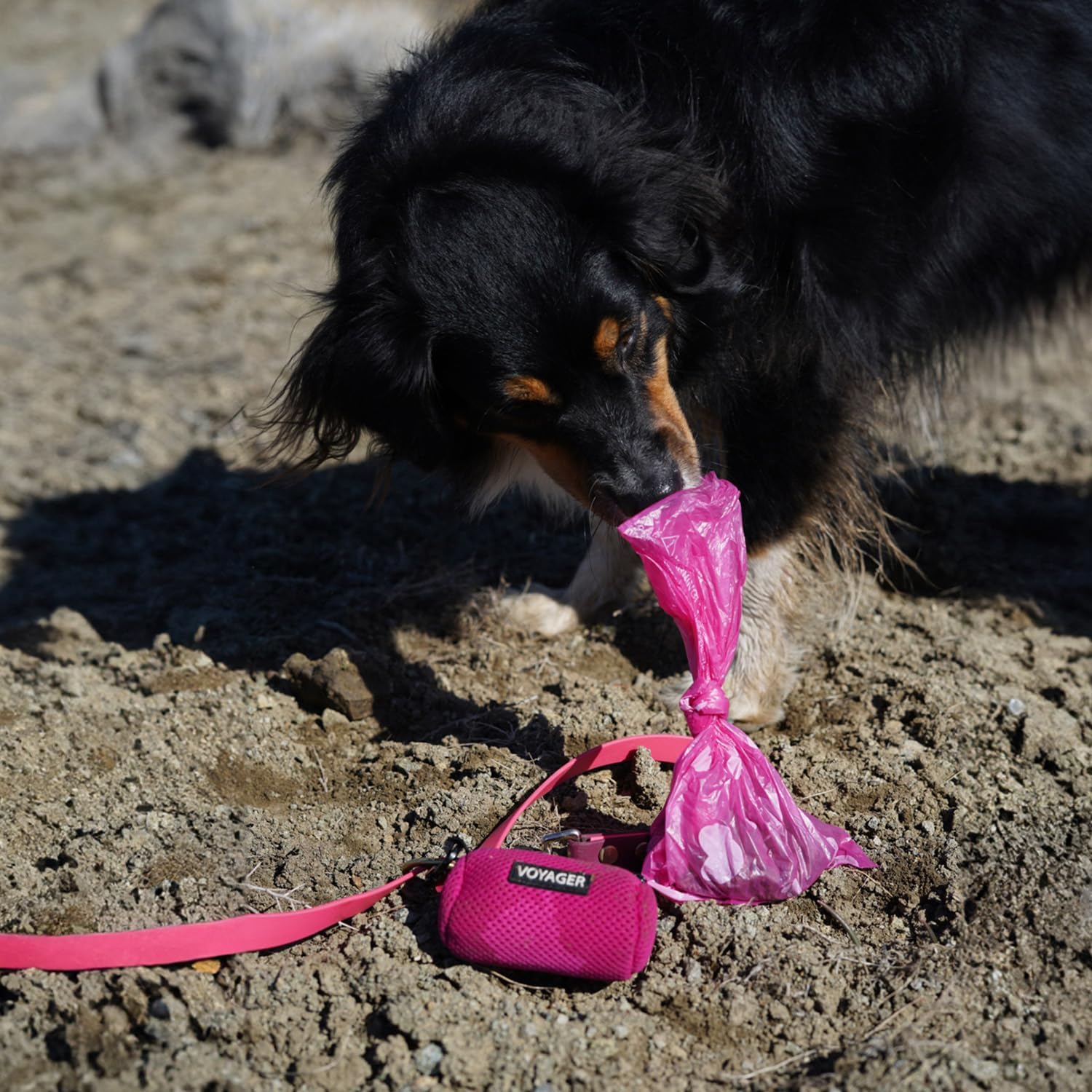 Best Pet Supplies Dog Poop Bags (240 Bags) for Waste Refuse Cleanup, Doggy Roll Replacements for Outdoor Puppy Walking and Travel, Leak Proof and Tear Resistant, Thick Plastic - Pink Heart-4