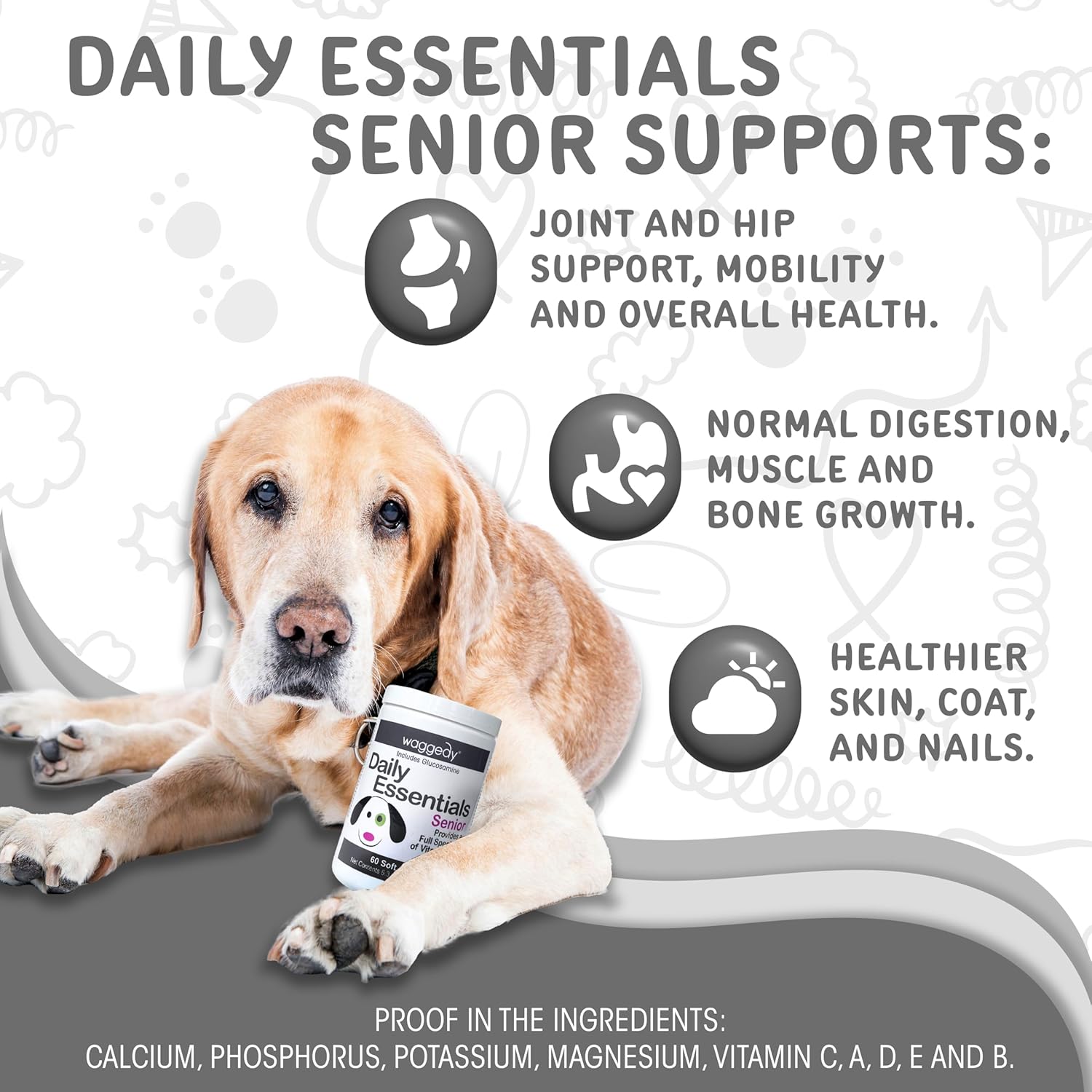 waggedy Daily Essentials Senior Soft Chews with Glucosamine — Pet Supplies for Digestion and Joint Health — Dog Multivitamin Treats for Overall Defense — Dog Vitamins and Supplements (60 Chews)-1