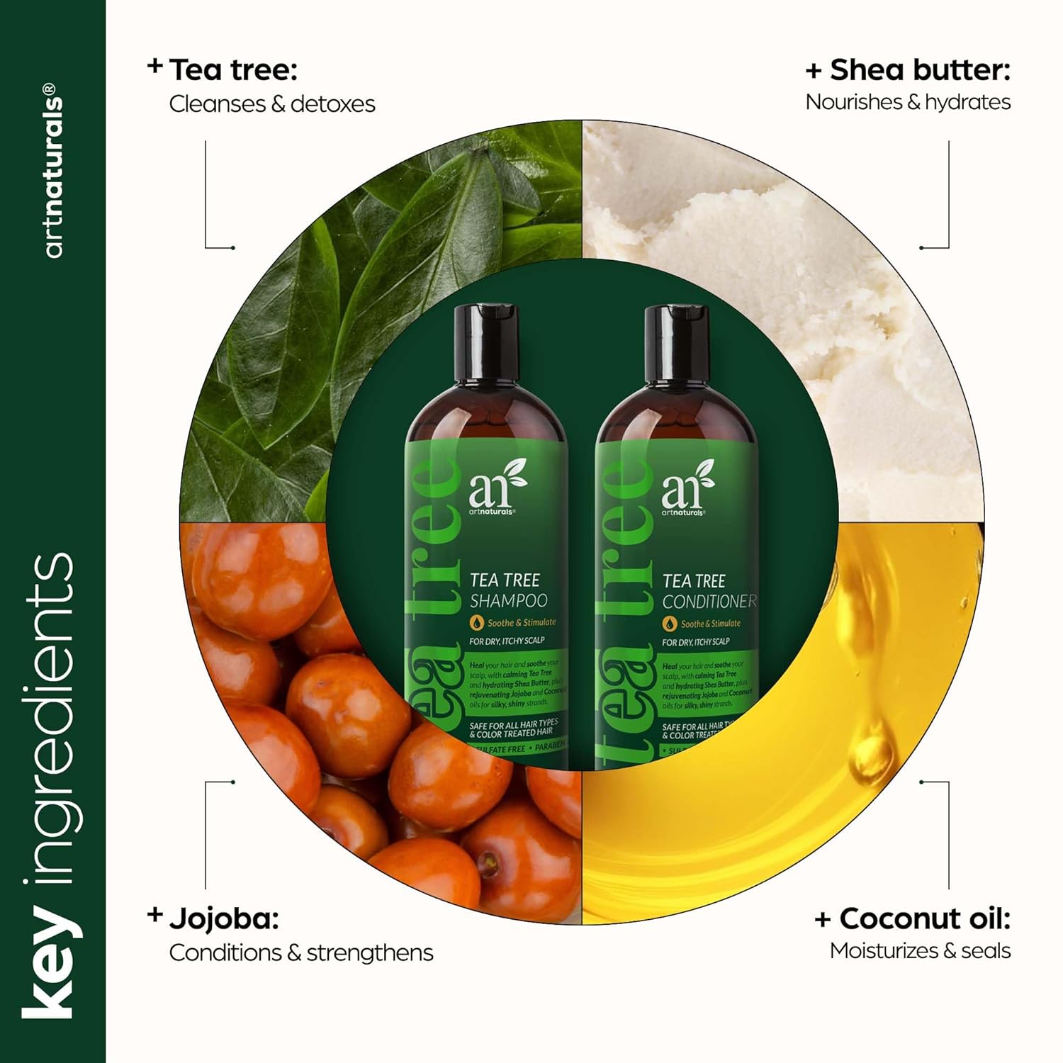 artnaturals Tea Tree Shampoo and Conditioner Set - (2 x 16 Fl Oz / 473ml) – Sulfate Free – Therapeutic Grade Tea Tree Essential Oil - Deep Cleansing for Dandruff, Lice, Dry Scalp and Itchy Hair-2