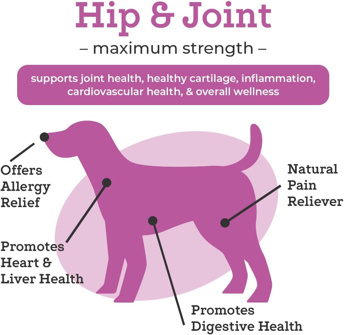 VetPro Dog Hip and Joint Supplement - Pain and Inflammation Relief Chews with Glucosamine, Chondroitin, MSM, Turmeric, Vitamin C, Omega 3 - Treats Hip Dysplasia, Arthritis - Dogs Chewable Supplements-2