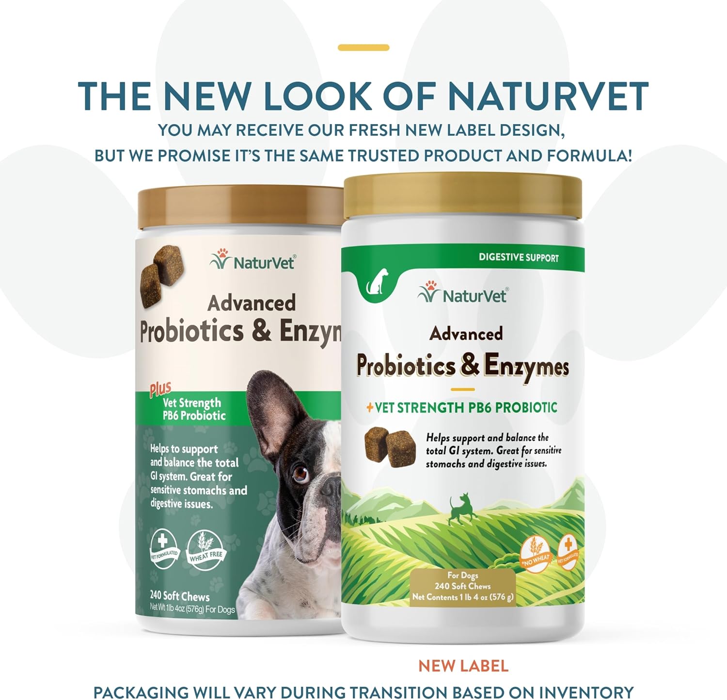 NaturVet – Advanced Probiotics & Enzymes - Plus Vet Strength PB6 Probiotic – Supports and Balances Pets with Sensitive Stomachs & Digestive Issues – for Dogs & Cats 240 ct-1