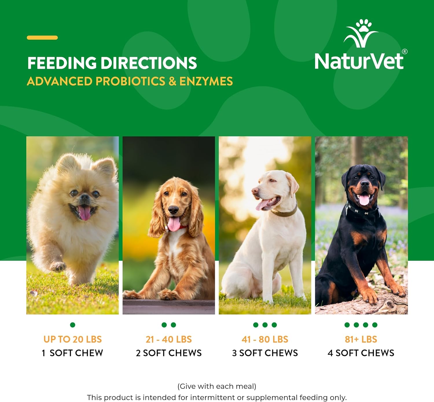 NaturVet – Advanced Probiotics & Enzymes - Plus Vet Strength PB6 Probiotic – Supports and Balances Pets with Sensitive Stomachs & Digestive Issues – for Dogs & Cats 240 ct-6