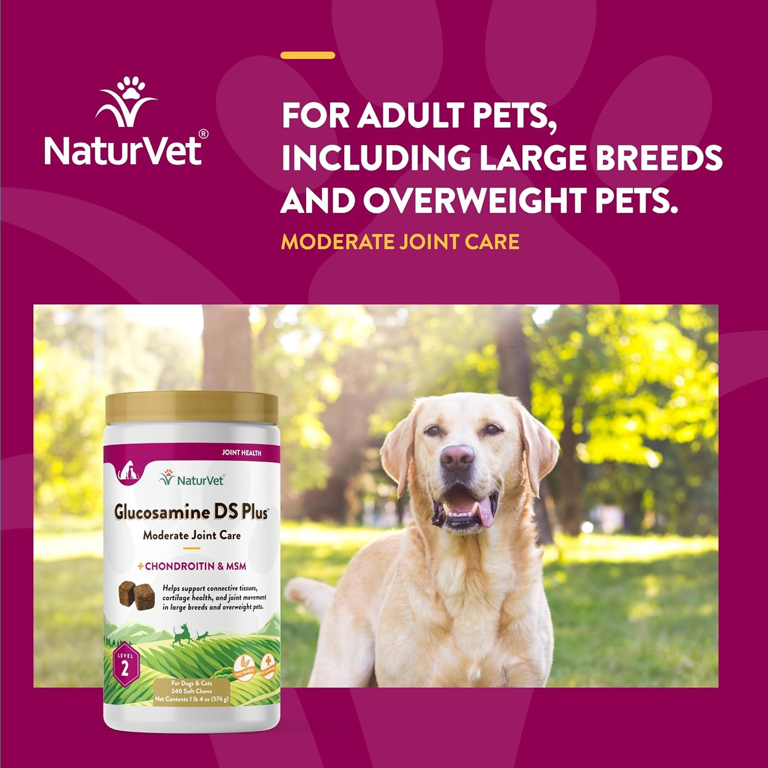 NaturVet – Glucosamine DS Plus - Level 2 Moderate Care – Supports Healthy Hip & Joint Function – Enhanced with Glucosamine, MSM & Chondroitin – for Dogs & Cats – 240 Soft Chews-3