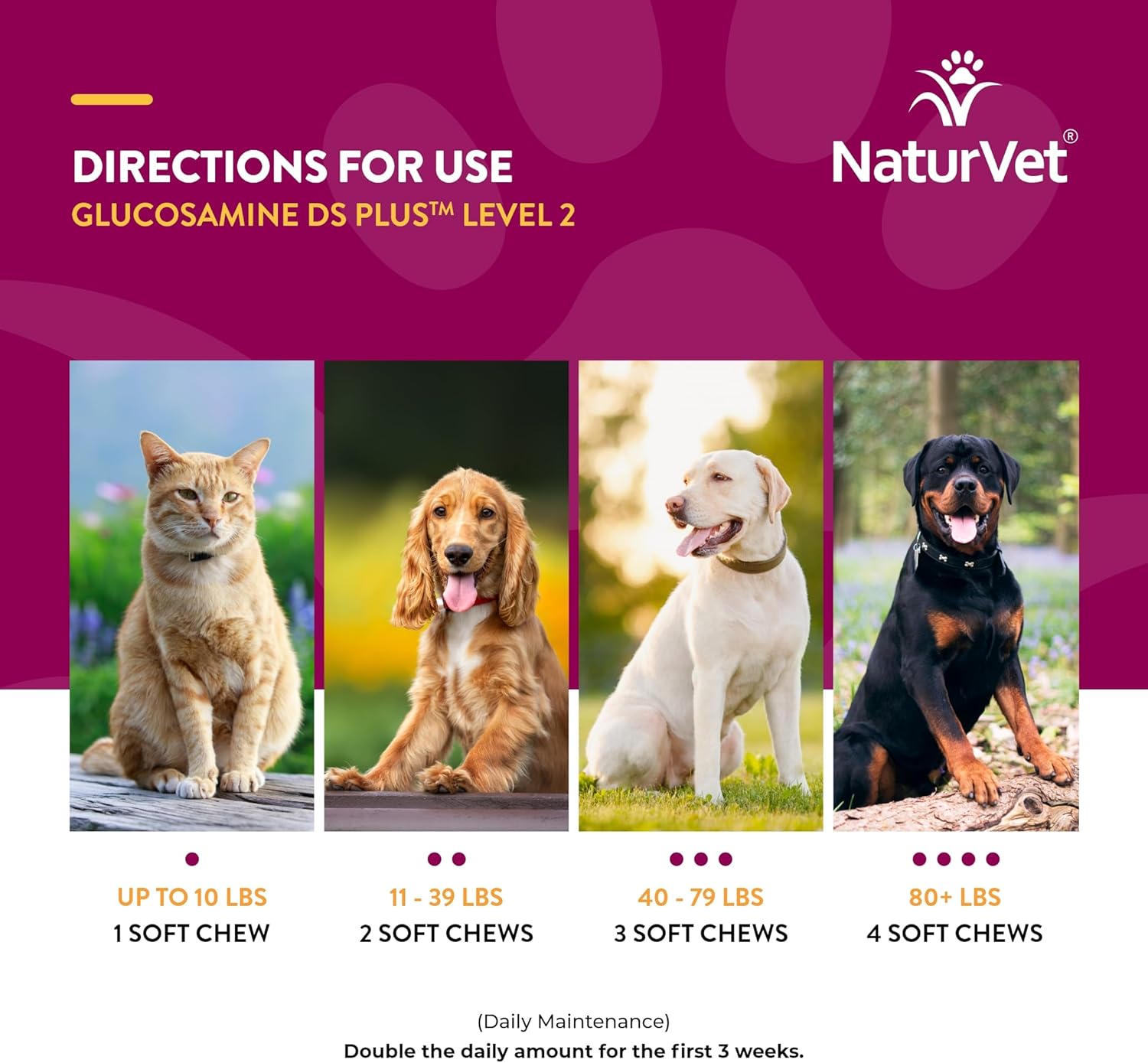 NaturVet – Glucosamine DS Plus - Level 2 Moderate Care – Supports Healthy Hip & Joint Function – Enhanced with Glucosamine, MSM & Chondroitin – for Dogs & Cats – 240 Soft Chews-6