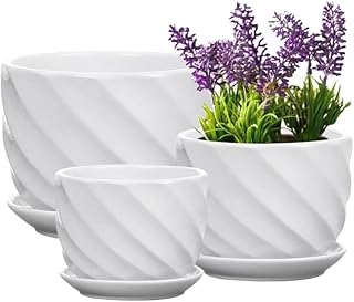 Set of 3 Ceramic Plant Pot - Flower Plant Pots Indoor with Saucers,Small to Medium Sized Round Modern Ceramic Garden Flower Pots (White)