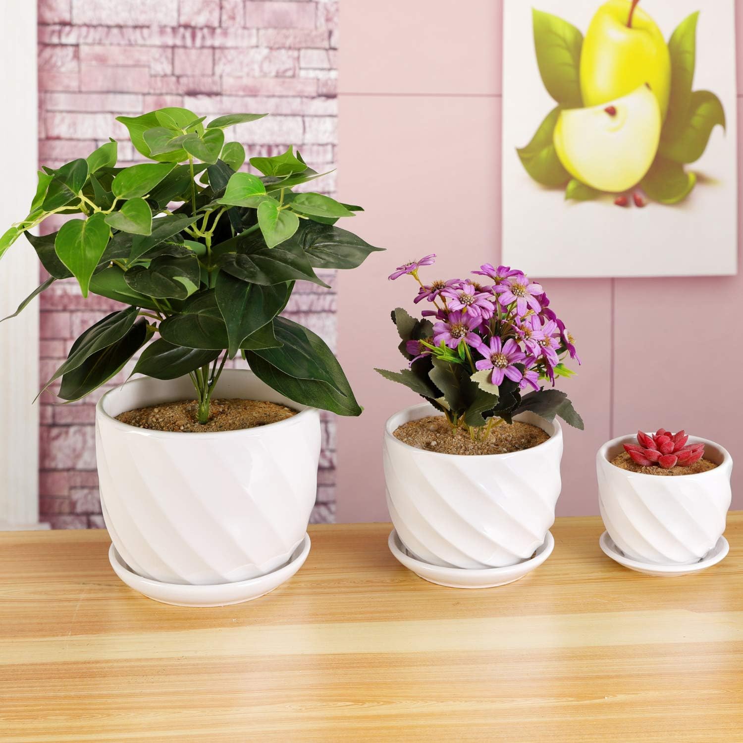 Set of 3 Ceramic Plant Pot - Flower Plant Pots Indoor with Saucers,Small to Medium Sized Round Modern Ceramic Garden Flower Pots (White)-2