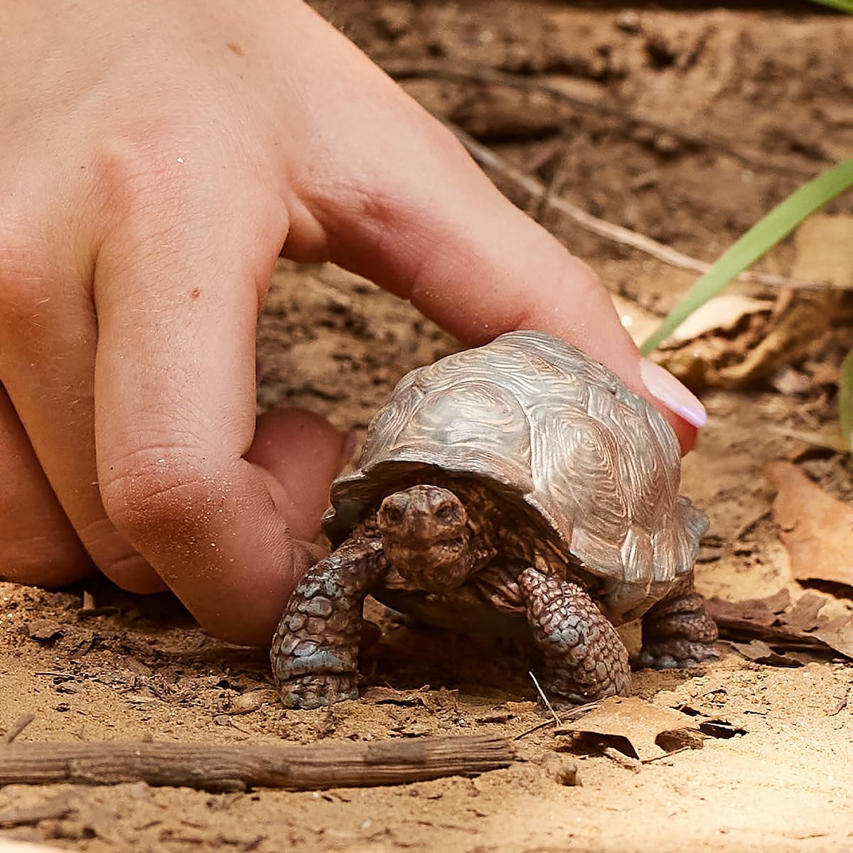 Schleich Wild Life Realistic Exotic Galapagos Giant Tortoise Figurine - Wild Animal Figurine Giant Tortoise Toy for Wildlife Play and Imagination for Toddlers Boys and Girls, Gift for Kids Age 3+-1