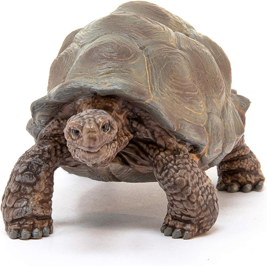 Schleich Wild Life Realistic Exotic Galapagos Giant Tortoise Figurine - Wild Animal Figurine Giant Tortoise Toy for Wildlife Play and Imagination for Toddlers Boys and Girls, Gift for Kids Age 3+-2