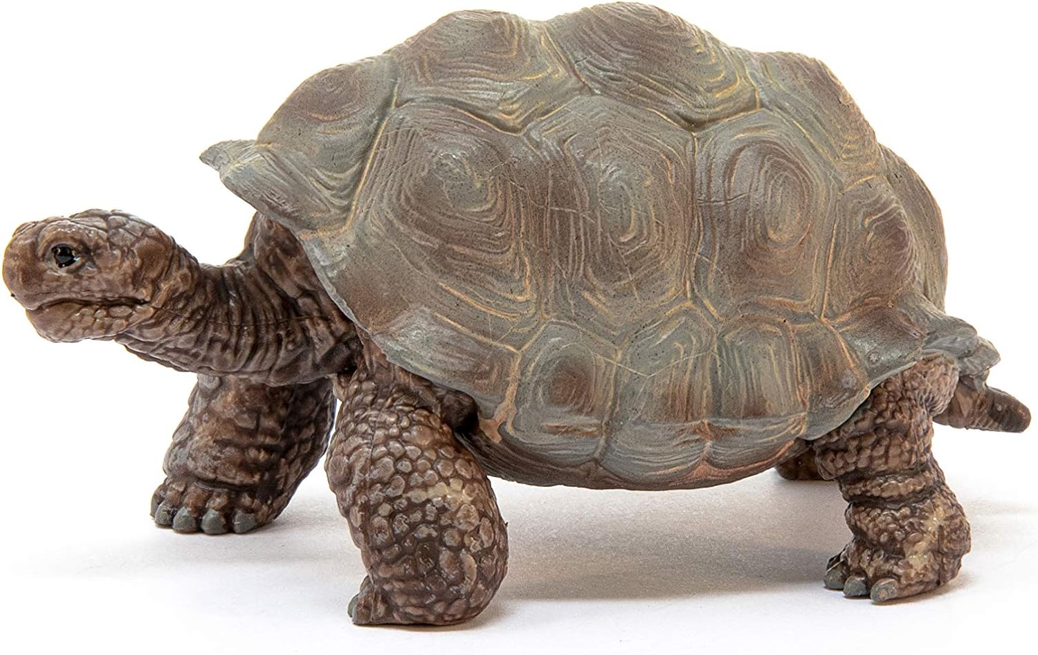 Schleich Wild Life Realistic Exotic Galapagos Giant Tortoise Figurine - Wild Animal Figurine Giant Tortoise Toy for Wildlife Play and Imagination for Toddlers Boys and Girls, Gift for Kids Age 3+-4