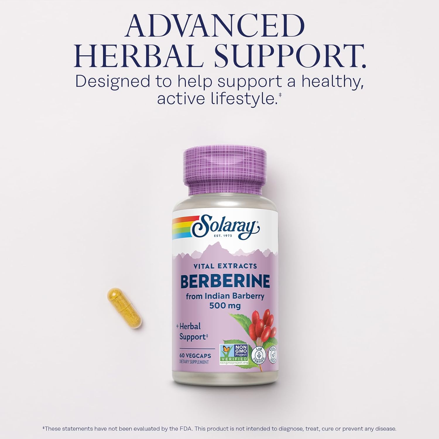 SOLARAY Berberine 500mg - Berberine Supplement for a Healthy, Active Lifestyle - with Berberine HCl from Indian Barberry - Vegan, Non-GMO, 60-Day Guarantee, Lab Verified - 60 Servings, 60 VegCaps-2