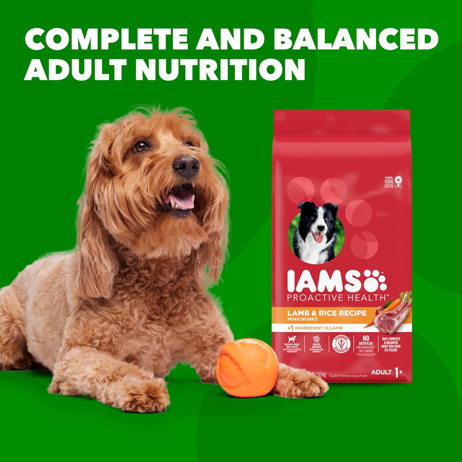 IAMS Proactive Health Minichunks Adult Dry Dog Food with Lamb & Rice, 15 lb. Bag-10