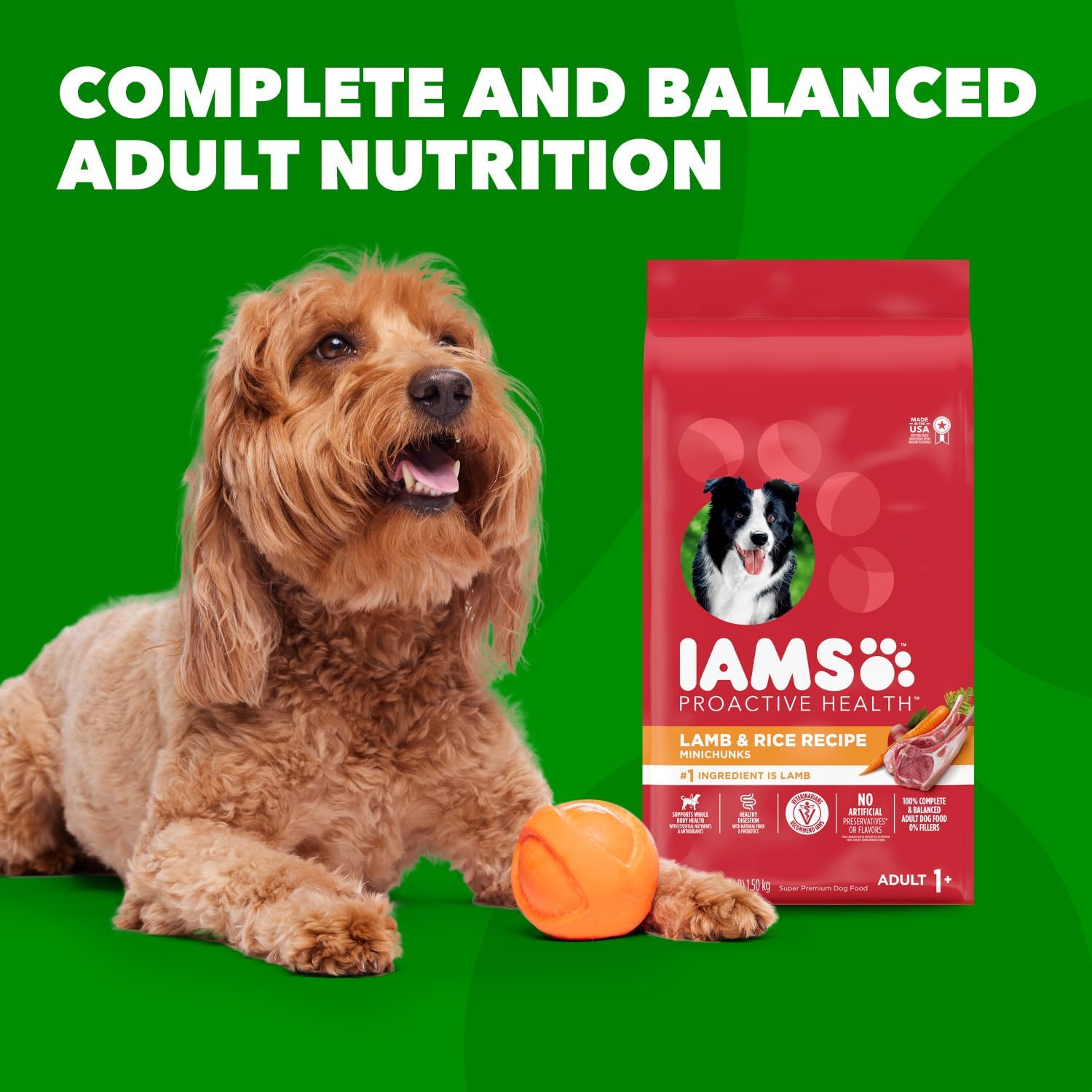 IAMS Proactive Health Minichunks Adult Dry Dog Food with Lamb & Rice, 30 lb. Bag-10