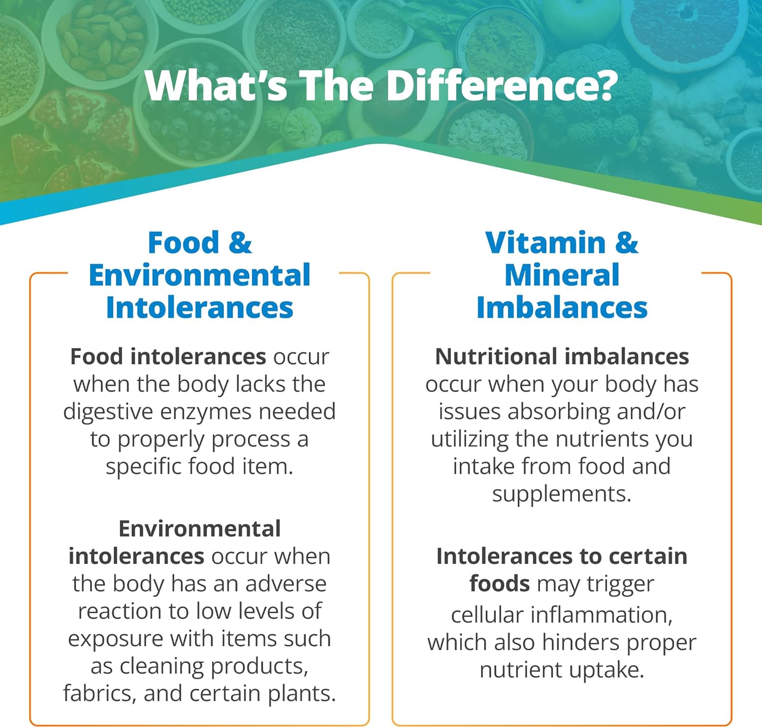 5Strands Intolerance & Deficiency Test, 442 Items Tested, Includes 3 Tests, Food Intolerance, Environment Sensitivity, Nutrition Imbalance, at Home Health Collection Kit, Results in 5 Days-2