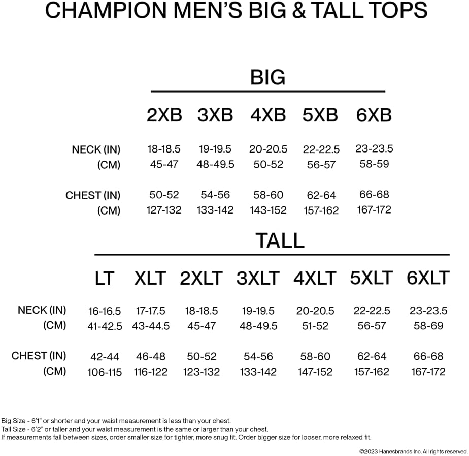 Champion Men's T-Shirt, Classic Graphic T-Shirt, Soft and Comfortable T-Shirts for Men, Script Logo (Reg. or Big & Tall)-6