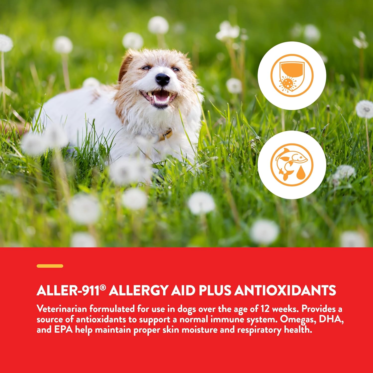 NaturVet Aller-911 Advanced Allergy Aid for Dogs, Cats – Antioxidant-Rich Pet Supplement with Omegas, DHA, EPA – Helps Support Dog Immune System, Cat Respiratory Health, Skin Moisture 180 Soft Chews-3