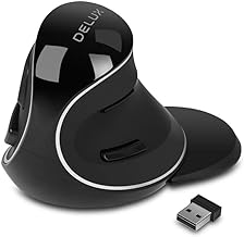 DeLUX Wireless Ergonomic Vertical Mouse - 2.4G with USB Receiver, Silent Clicks, 1600 DPI, 6 Buttons, Removable Wrist Rest, for Laptop PC (M618Plus Wireless-Black)