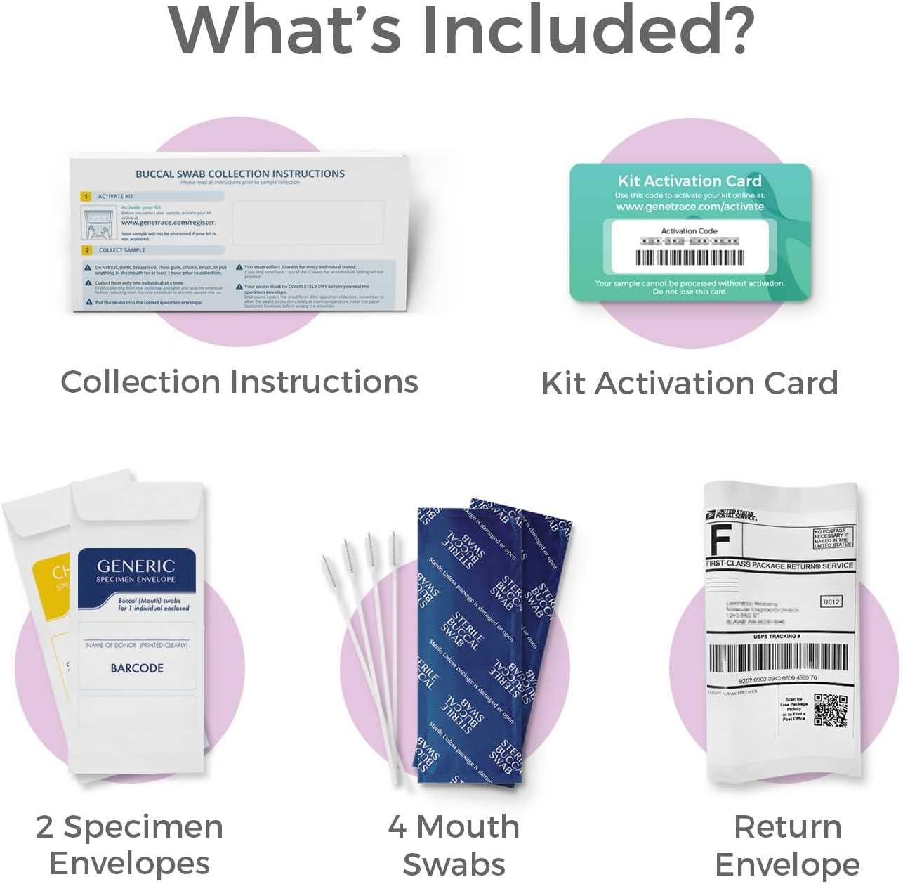 Grandparent DNA Test - Lab Fees & Shipping Included - Home DNA Test Kit for Grandparent and Child - Results in 1-2 Days-2