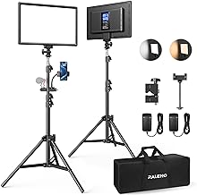 RALENO 2 Packs LED Video Light and 75inches Stand Lighting Kit, CRI 95+ Photography Lighting with 8000mAh Built-in Battery & LCD Display, Studio Lights for TikTok, YouTube, Live Streaming, Videography