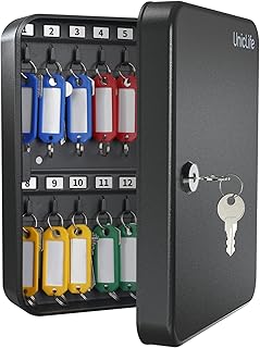 Uniclife 28-Key Steel Key Cabinet with 2 Unlocking Keys Wall Mounted Key Organizer Black Frosted Security Box with Hooks and Large Key Tag Labels Identifiers in 5 Assorted Colors