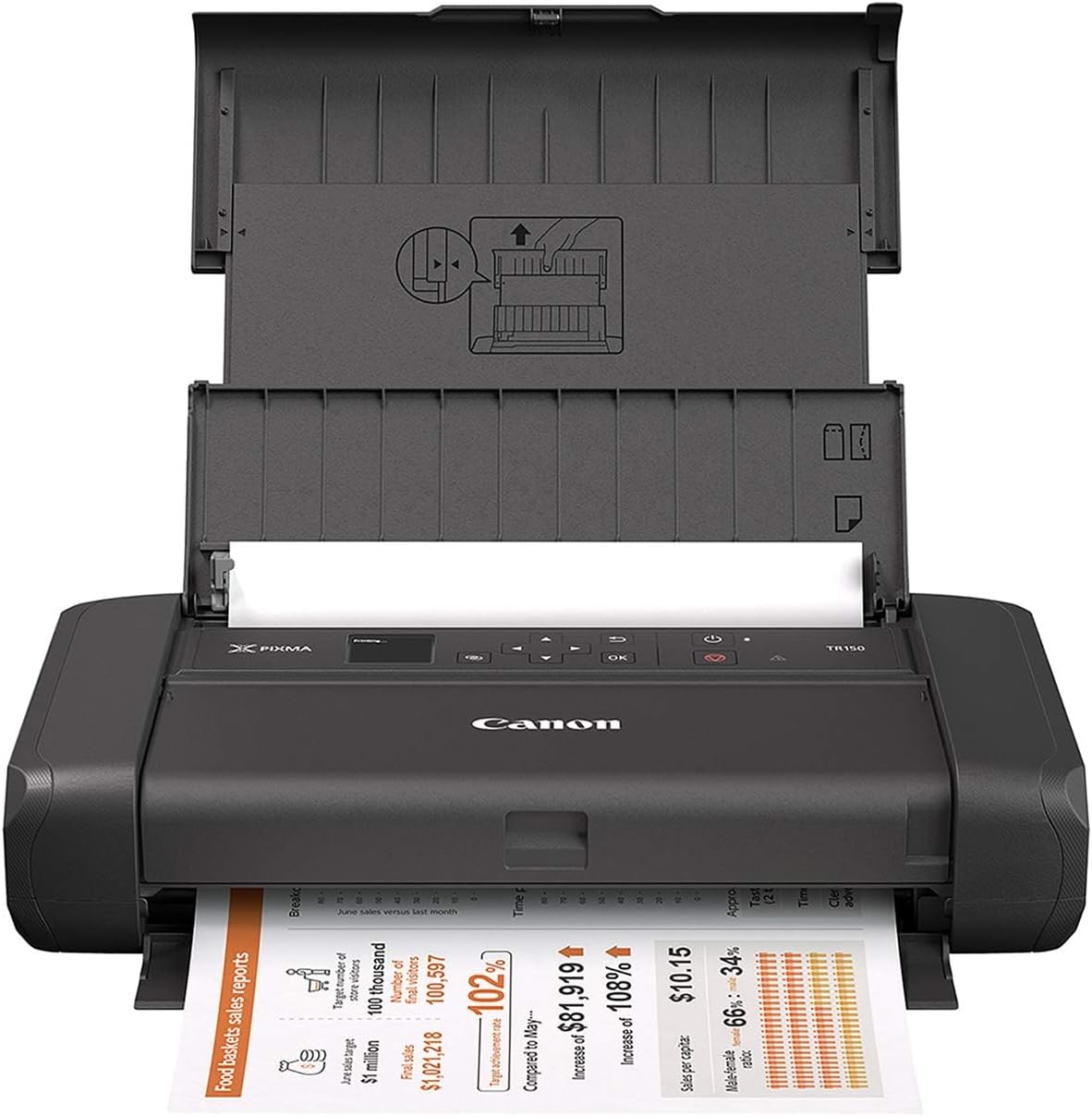 Canon PIXMA TR150 Wireless Portable Printer-0