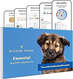 Wisdom Health Panel Essential Dog DNA Kit: Most Accurate Test for 365+ Breeds, 30 Genetic Health Conditions, 50+ Traits, Relatives, Ancestry - 1 Pack