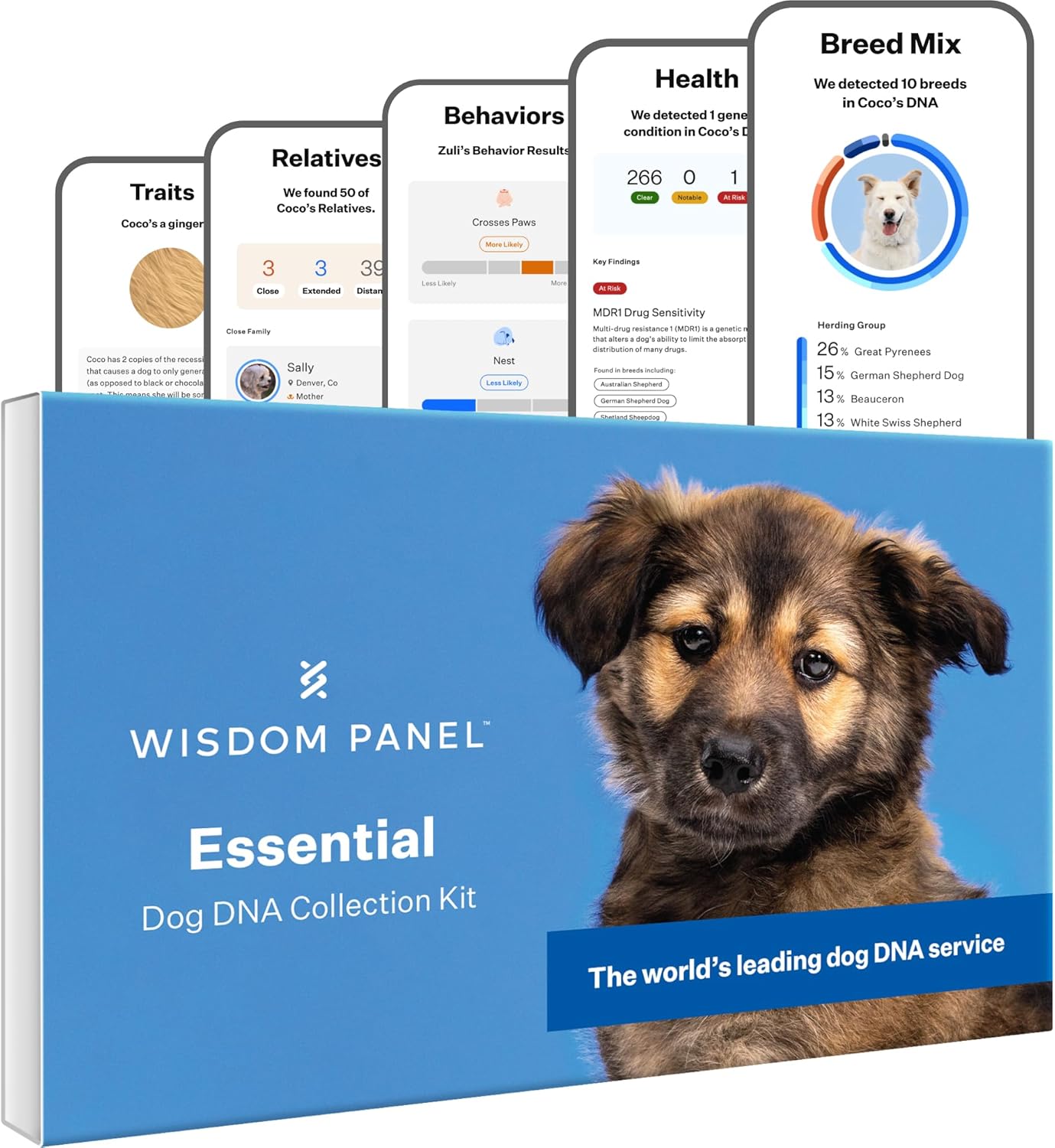 Wisdom Health Panel Essential Dog DNA Kit: Most Accurate Test for 365+ Breeds, 30 Genetic Health Conditions, 50+ Traits, Relatives, Ancestry - 1 Pack-0