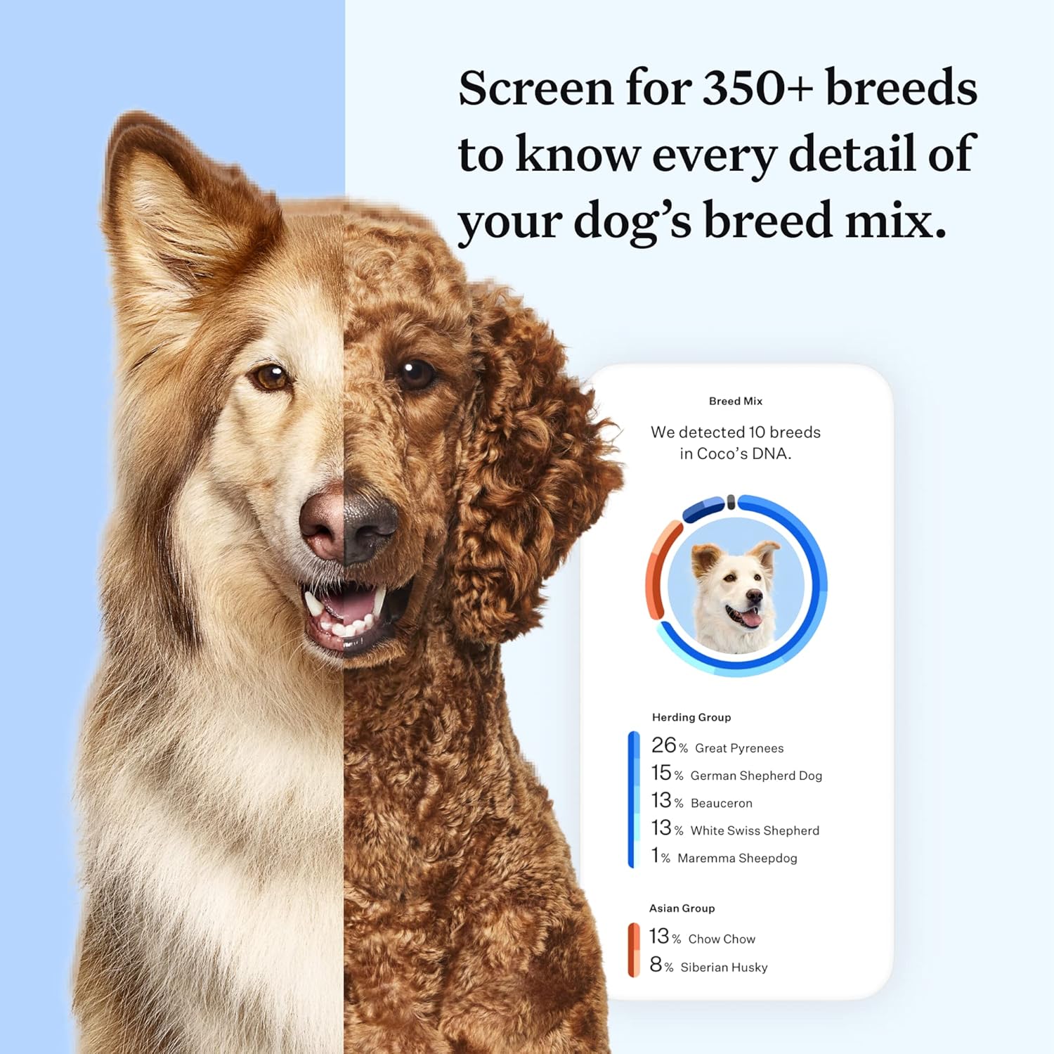 Wisdom Health Panel Essential Dog DNA Kit: Most Accurate Test for 365+ Breeds, 30 Genetic Health Conditions, 50+ Traits, Relatives, Ancestry - 1 Pack-2