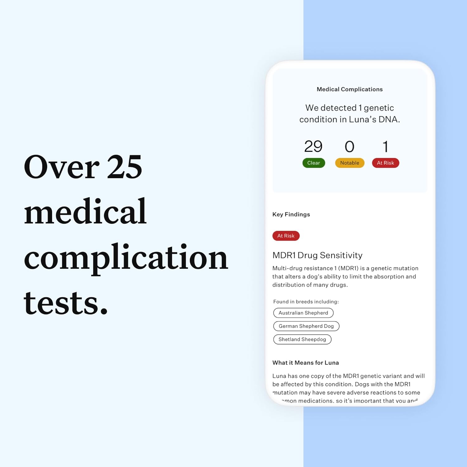 Wisdom Health Panel Essential Dog DNA Kit: Most Accurate Test for 365+ Breeds, 30 Genetic Health Conditions, 50+ Traits, Relatives, Ancestry - 1 Pack-3