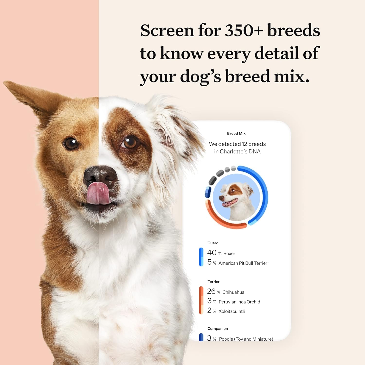 Wisdom Panel Premium Dog DNA Kit: Most Comprehensive with 265+ Health Tests, Identify 365+ Dog Breeds, 50+ Traits, Relatives, Ancestry, Genetic Diversity - 1 Pack-2