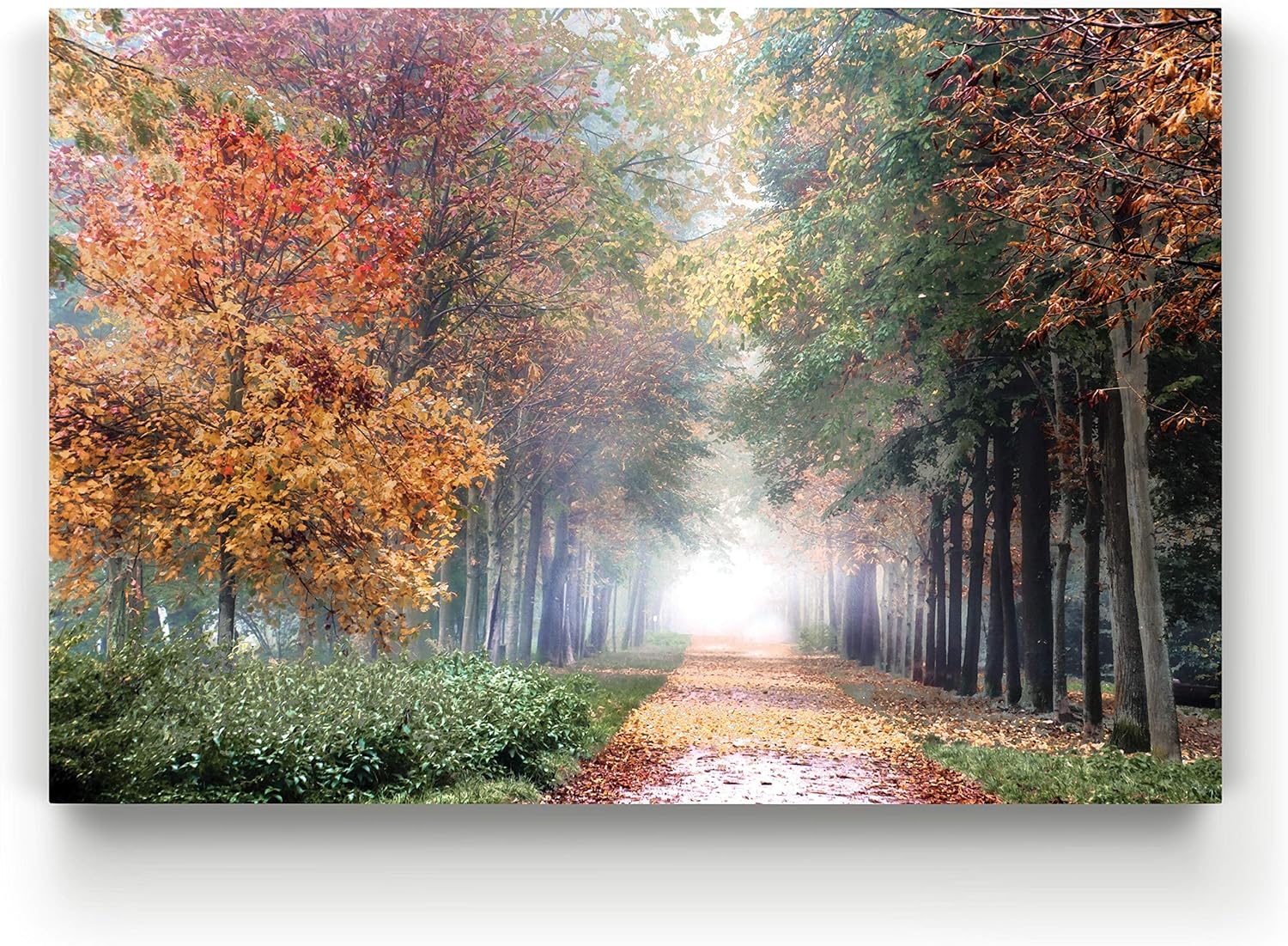 Renditions Gallery Home Wall Art Pictures Pathway through the Misty Autum Forest Canvas Hanging Prints for Living Room Office Decorations - 24"X36" LT08-4