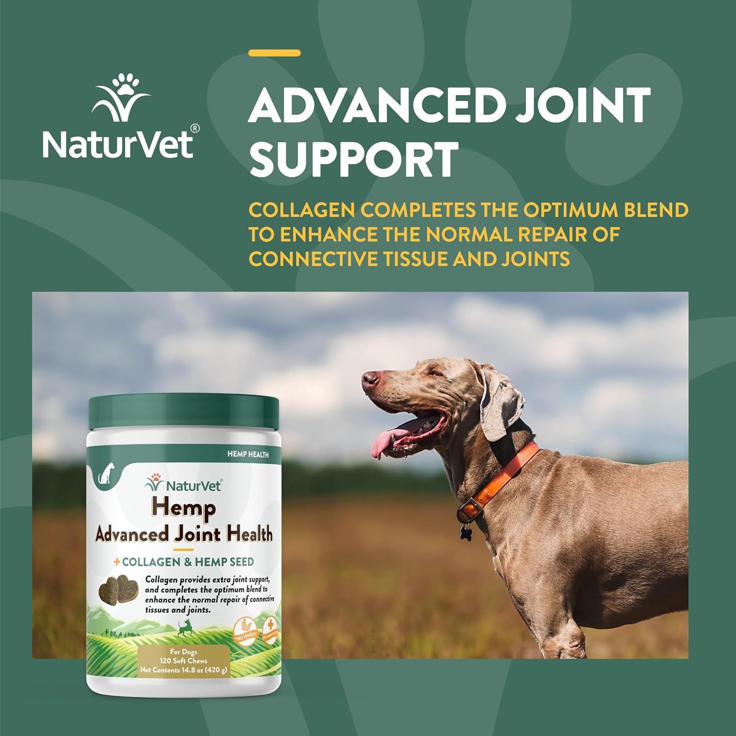 NaturVet Hemp Advanced Joint Health Dog Supplement Soft Chews –Helps Support Joint Health in Dogs – Includes Hemp Seed, Collagen, Glucosamine, MSM, Chondroitin, Omegas – 120 Ct.-3