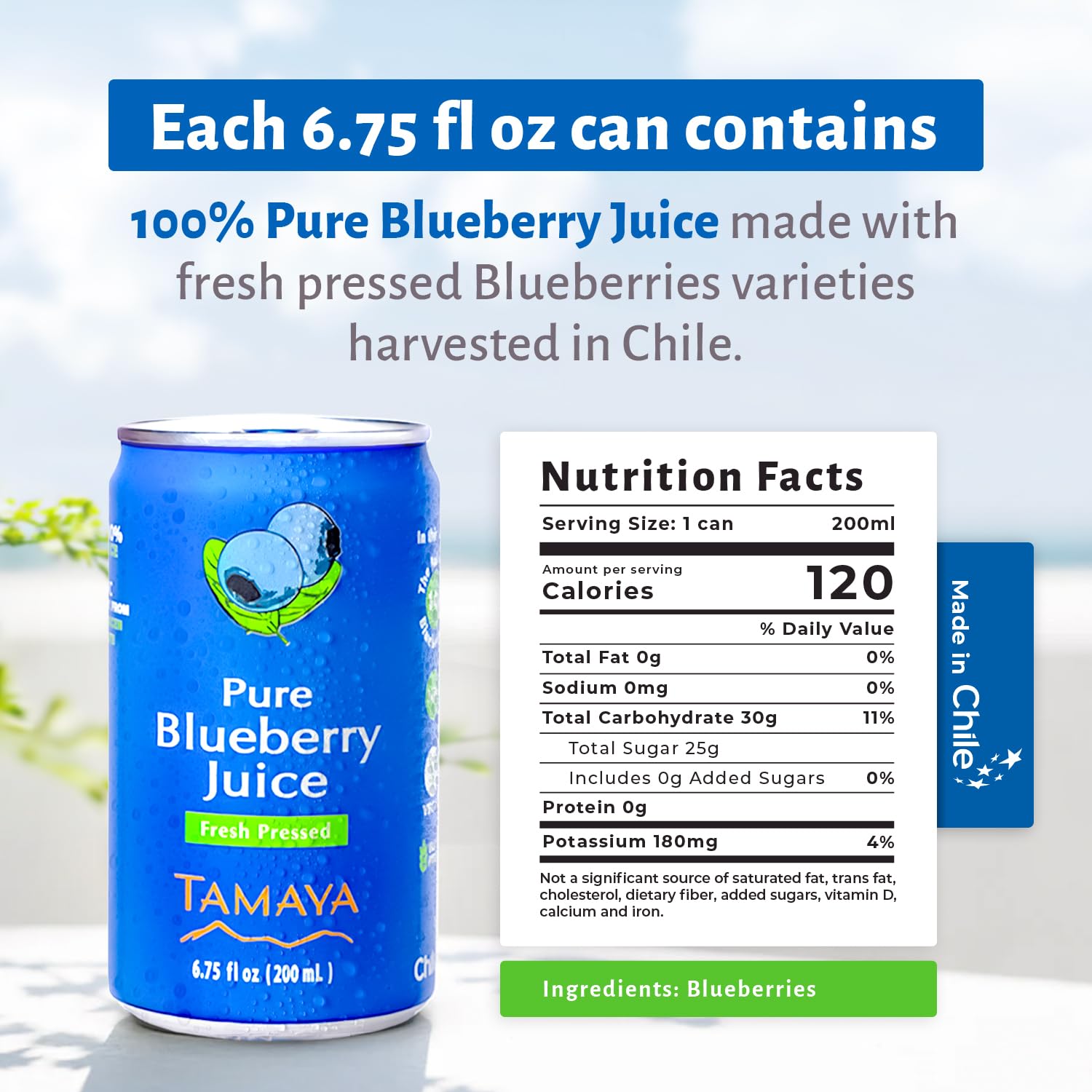 Tamaya Blueberry Juice – Pure Blueberries Fresh Pressed With No Sugar Added – Delicious Refreshing Juice – No Gluten, Vegan Friendly – No Water Mix, Not From Concentrate 6.75 Fl Oz Mini Cans, Pack of 12, Chile-5