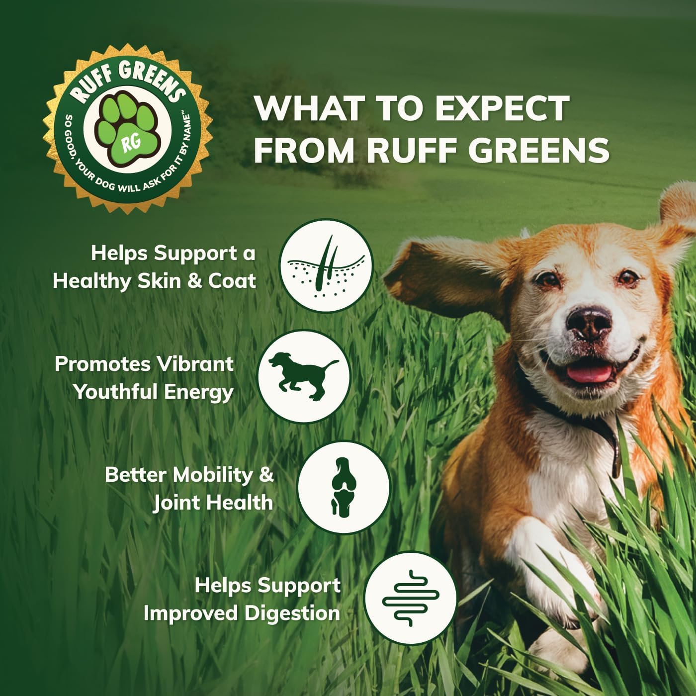 Ruff Greens - Hip & Joint Supplement For Dogs - Probiotics Digestive Enzymes Powder for Mobility Support, Essential Vitamins & Minerals, 6.9 ounce-4