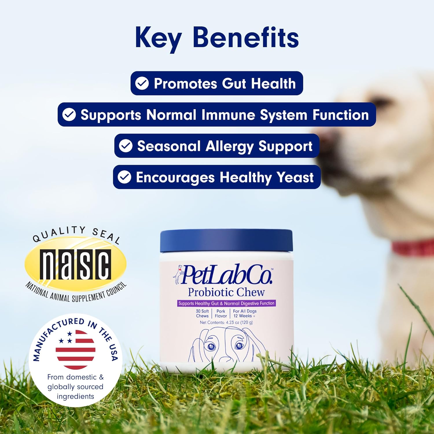 PetLab Co. Probiotics for Dogs, Support Gut Health, Diarrhea, Digestive Health & Seasonal Allergies - Pork Flavor - 30 Soft Chews - Packaging May Vary-1