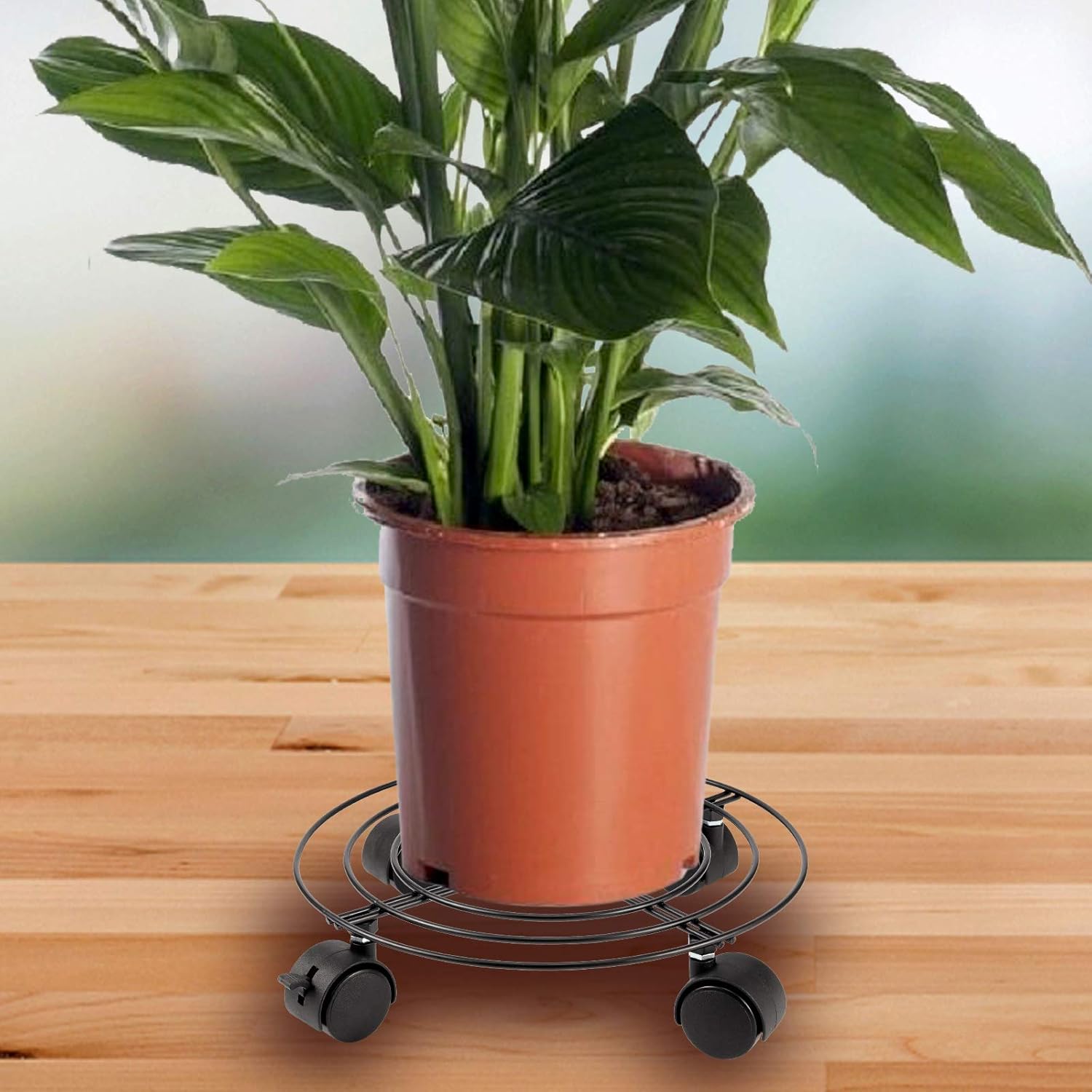 KEILEOHO 3 Pack 10.6 Inches Metal Plant Caddy with Wheels, Heavy Duty Plant Caddy Stands, Rolling Plant Stand for Indoor, Outdoor, Garden, House, Black-6