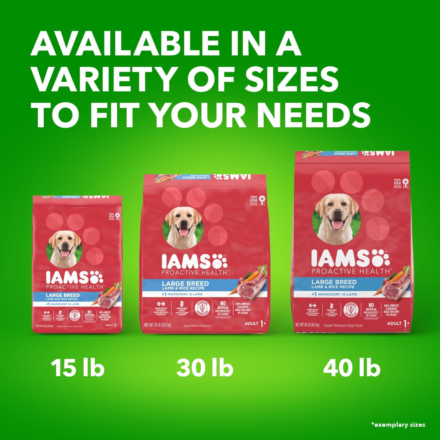 IAMS Proactive Health Large Breed Adult Dry Dog Food Lamb & Rice Recipe, 30 lb. Bag-13