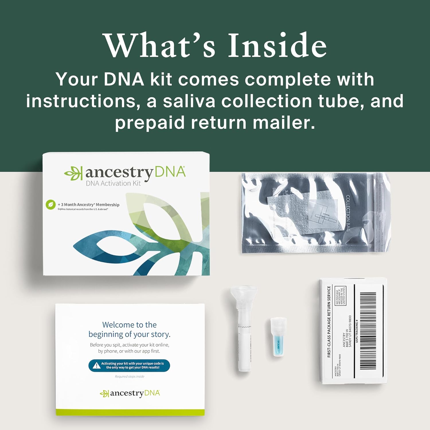 AncestryDNA Genetic Test Kit + 3-Month Ancestry World Explorer Membership: DNA Ethnicity Test, Find Relatives, Family History, Complete DNA Test, Ancestry Reports, Origins & Ethnicities, 1 Kit-7