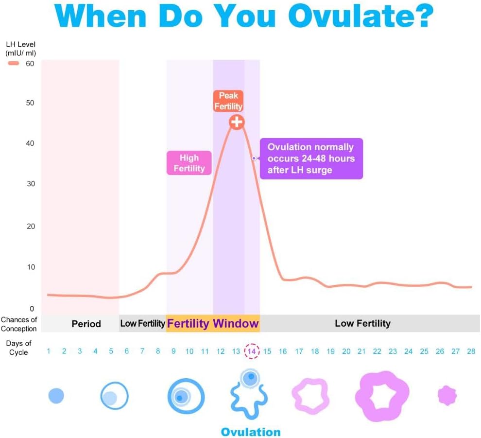 Easy@Home Ovulation Test Predictor Kit : Accurate Fertility Test for Women (Width of 5mm), Fertility Monitor Test Strips, 50 LH Strips with 50 Urine Cups-5