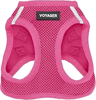 Voyager Step-in Air Dog Harness - All Weather Mesh, Reflective, No Pull Harness for Small, Medium Dogs, Cats - Secure with Hook & Loop Fastener, Buckle, Double D-Rings - Fuchsia, S