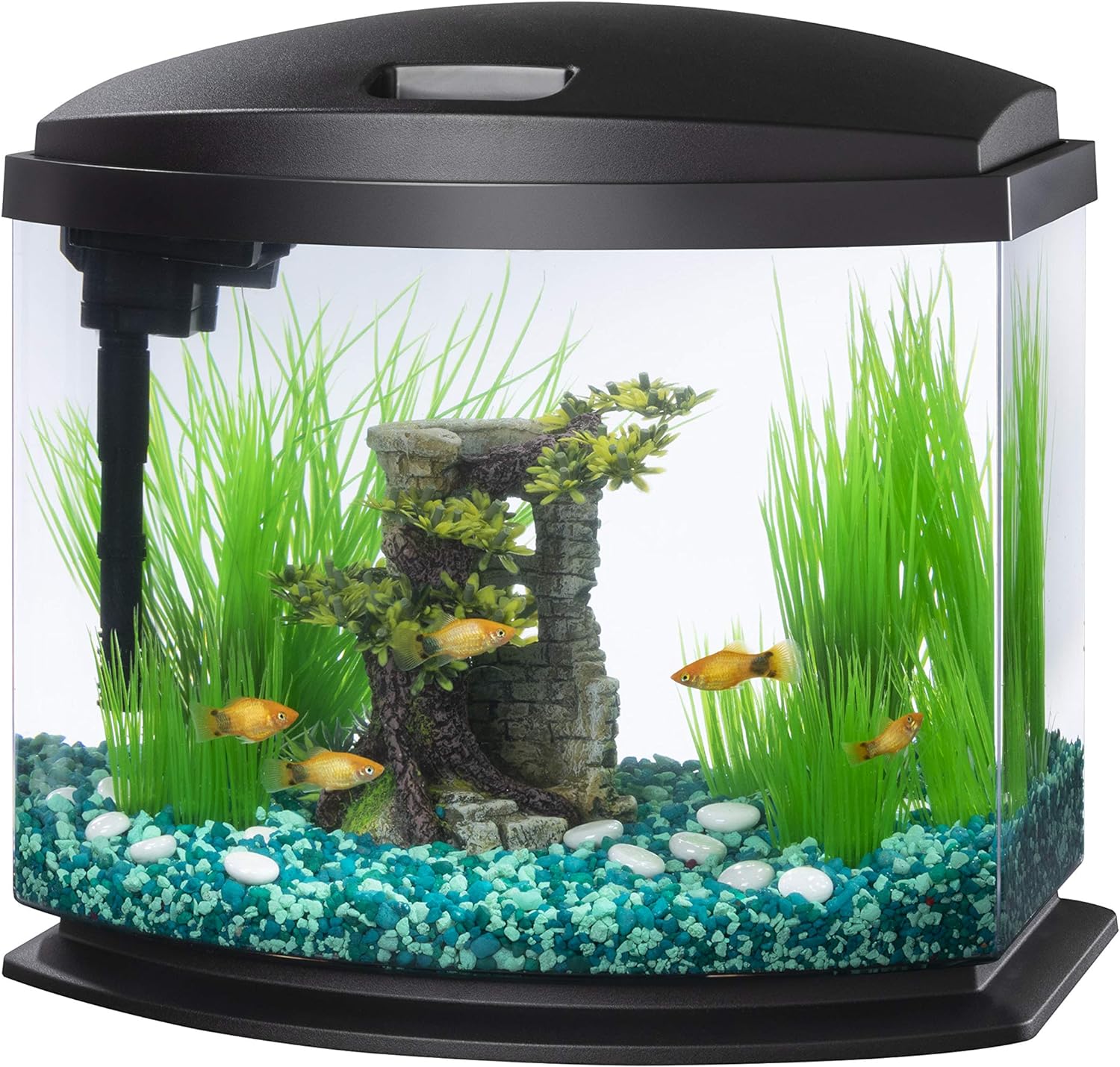 Aqueon LED MiniBow Small Aquarium Fish Tank Kit with SmartClean Technology, Black, 5 Gallon-0