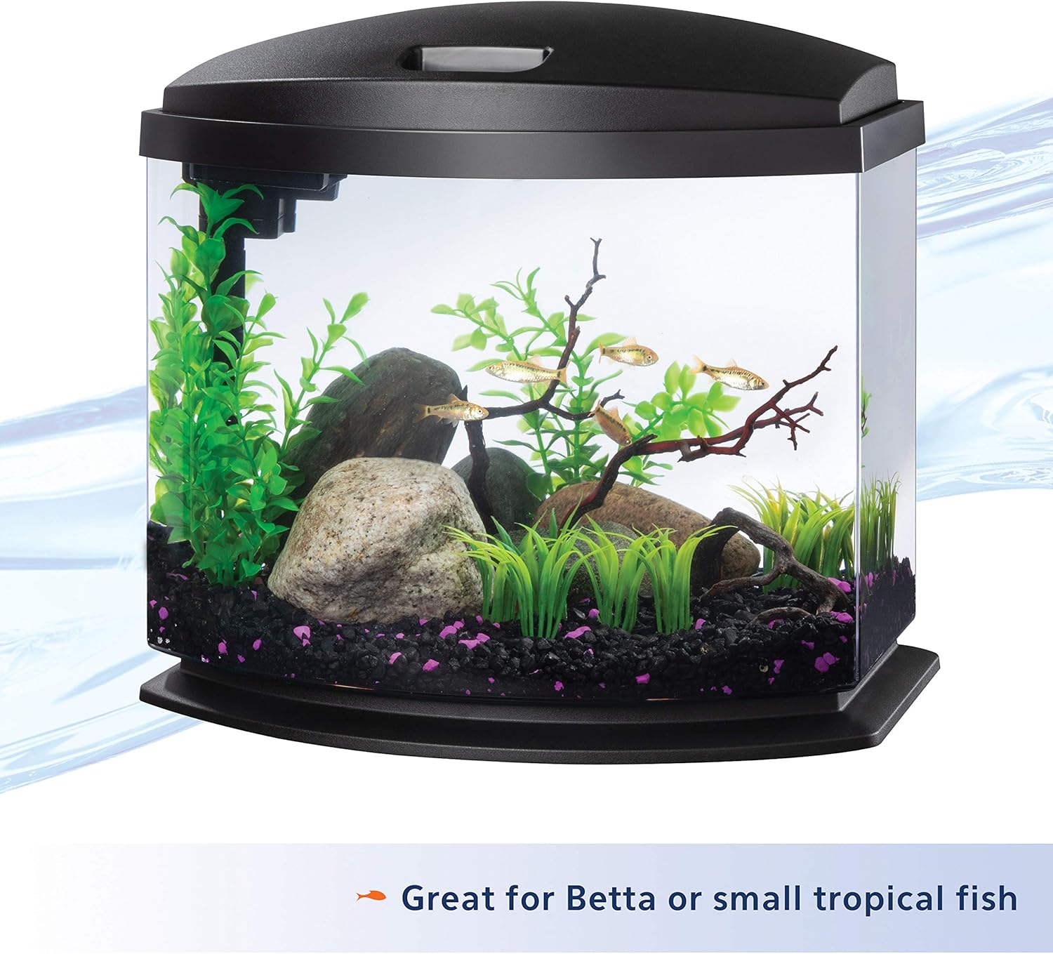 Aqueon LED MiniBow Small Aquarium Fish Tank Kit with SmartClean Technology, Black, 5 Gallon-2