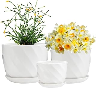 Laerjin Plant Pots 4.05" & 5.51" & 6.77" Flower Pot, Ceramic Garden Plant Pots with Connected Saucer for Garden, Set of 3 in Different Sizes