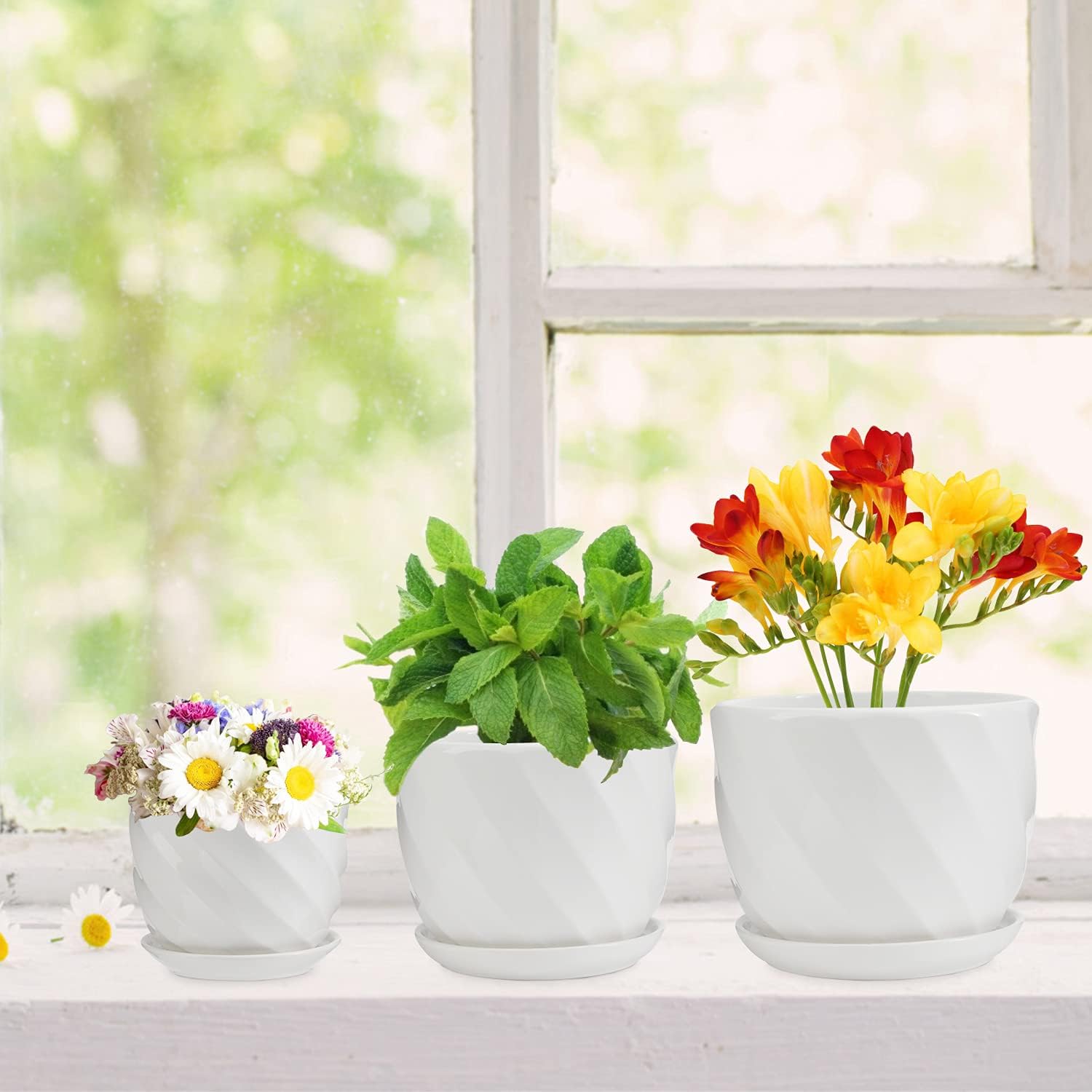 Laerjin Plant Pots 4.05" & 5.51" & 6.77" Flower Pot, Ceramic Garden Plant Pots with Connected Saucer for Garden, Set of 3 in Different Sizes-5