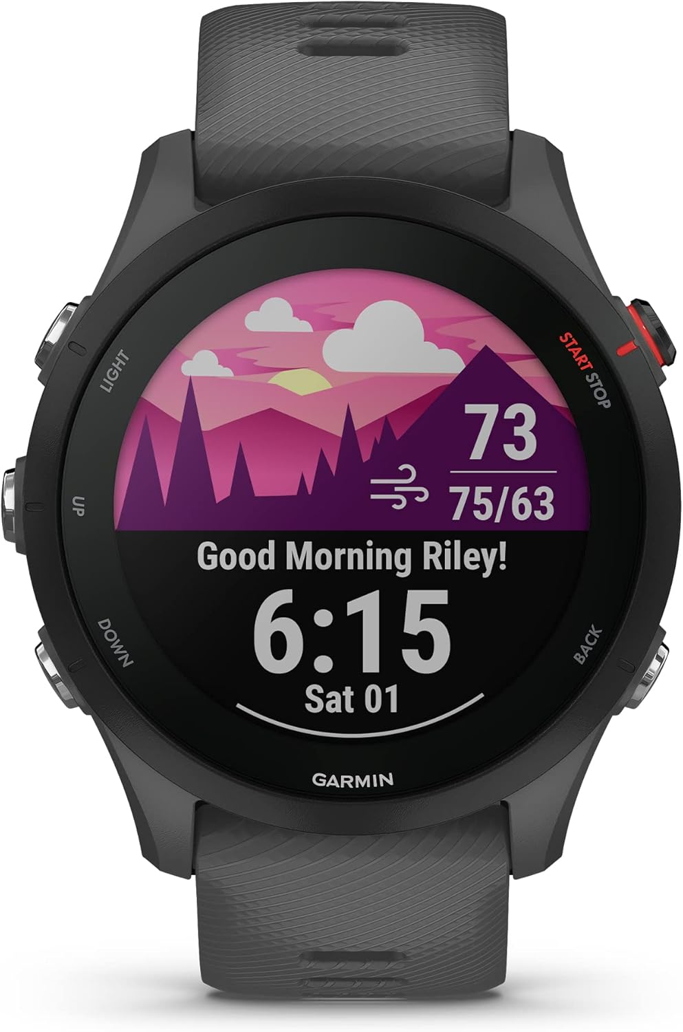 Garmin Forerunner® 255, GPS Running Smartwatch, Advanced Insights, Long-Lasting Battery, Slate Gray-1