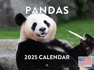 Panda Calendar 2025 Panda Gifts Monthly Wall Calender 12 Month