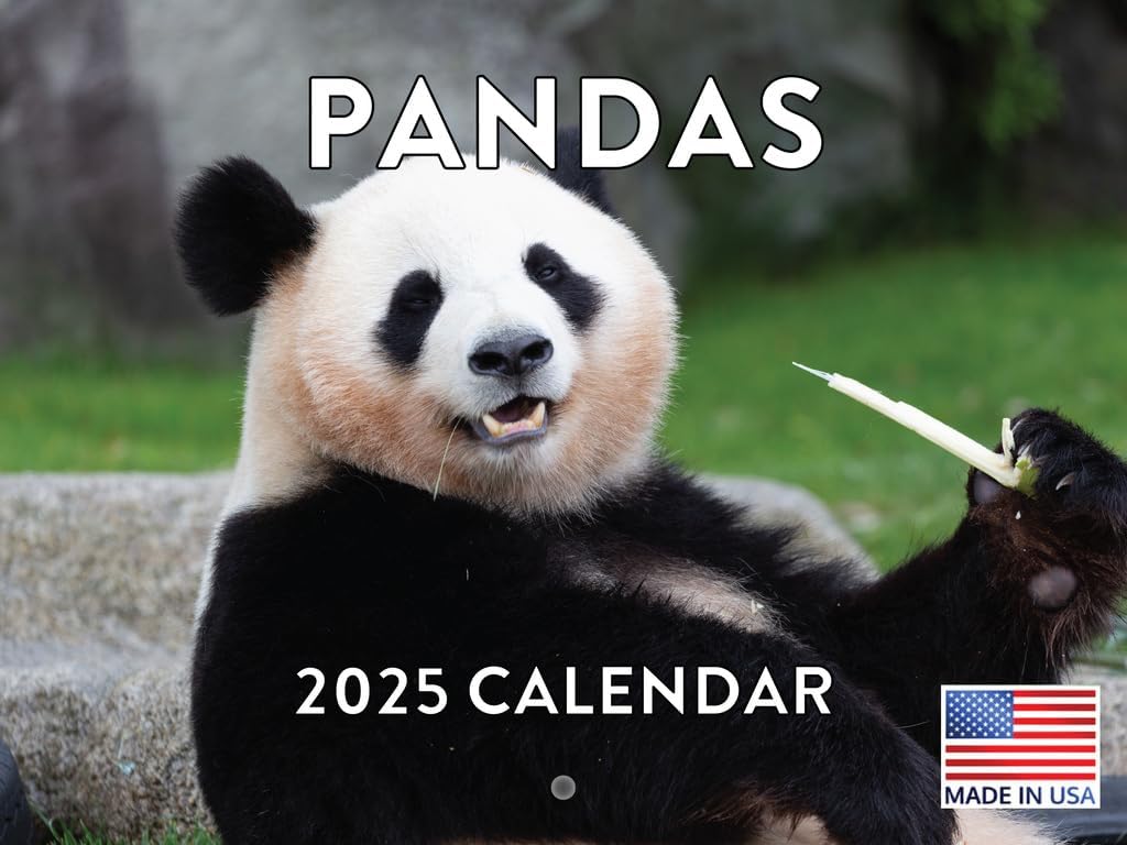 Panda Calendar 2025 Panda Gifts Monthly Wall Calender 12 Month-0