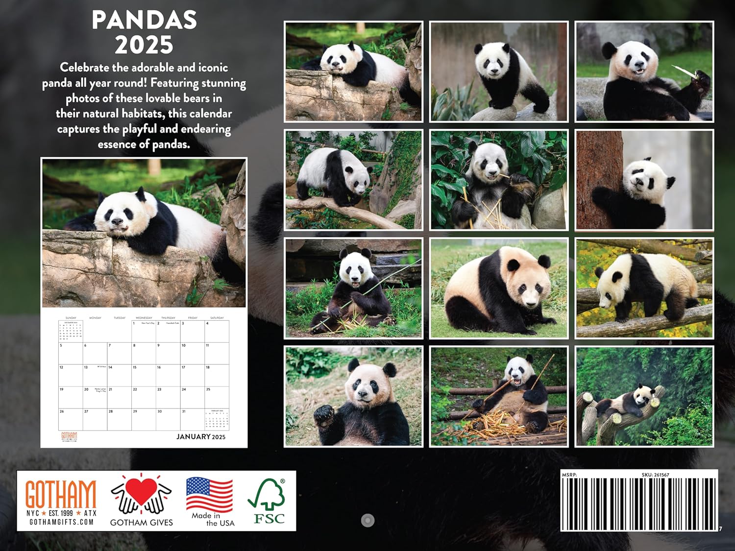 Panda Calendar 2025 Panda Gifts Monthly Wall Calender 12 Month-1