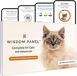 Wisdom Panel Complete: Comprehensive Cat DNA Test kit for 45 Health Genetic Health Conditions, 70+ Breeds and populations, 25+ Traits, Blood Type - 1 Pack