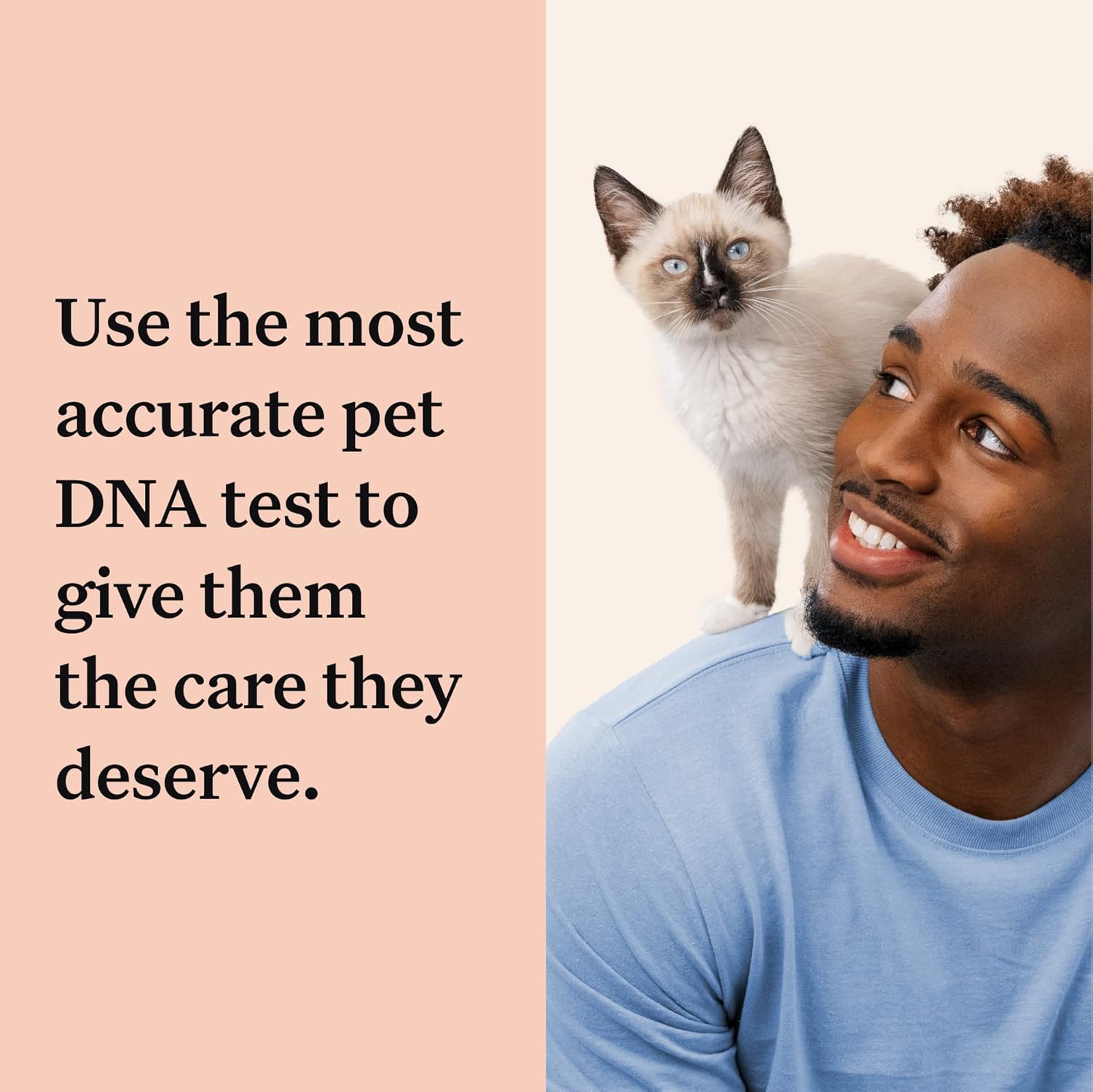 Wisdom Panel Complete: Comprehensive Cat DNA Test kit for 45 Health Genetic Health Conditions, 70+ Breeds and populations, 25+ Traits, Blood Type - 1 Pack-6